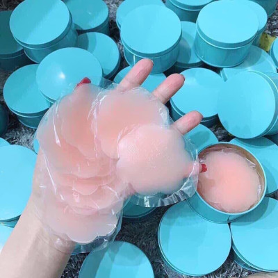 Hộp 10 miếng dán đầu ti silicon ( 5 đôi)