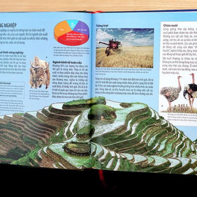 Sách Thiếu Thi Kiến thức Bách Khoa - Bách Khoa Toàn Thư Về Địa Lý - Geography Encyclopedia (Bìa cứng)