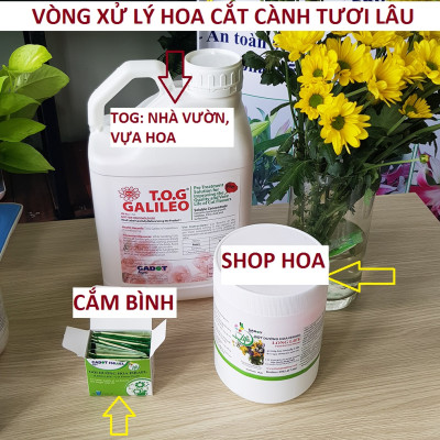 Hủ 1KG Bột Dinh Dưỡng Hoa Lâu Tàn dành cho Shop Hoa, Vựa Hoa hiệu Longlife SG nhập khẩu Israel, giúp bảo quản hoa cắm MUD tươi gấp 2 lần bình thường và Hạn chế thay hoa định kỳ