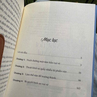 MỘT ĐỜI AN VUI – Dale Carnegie - Thanh Hương dịch – Liên Việt Books - NXB Văn Học