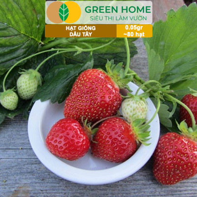 Hạt Giống Dâu Tây Đỏ Greenhome, Gói 0,05gr~80 hạt, Chịu Nhiệt, Quả To, Dễ Trồng, Năng Suất Cao T17