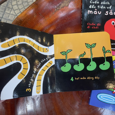 (Bìa cứng in màu bo góc – sách cho trẻ mẫu giáo) BỘ 3 CUỐN SÁCH TƯƠNG PHẢN-Cuốn sách đầu tiên về màu sắc-Cuốn sách đầu tiên về đối lập-Cuốn sách đầu tiên về số đếm -  - Thùy Cốm - Thuỳ Cốm & Thuý Hường minh hoạ - NXB Hà Nội – Crabit Kidbooks