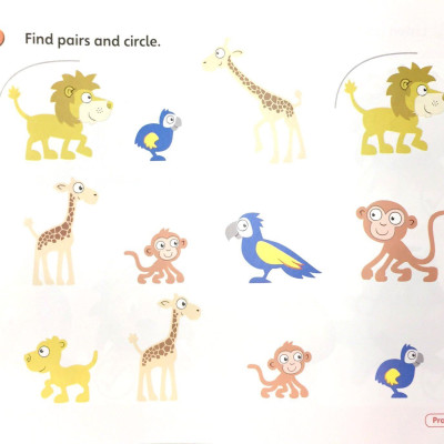 Super Safari Level 3 Activity Book