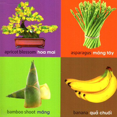 101 First Words - Plants (101 Từ Đầu Tiên - Thực Vật) _ML