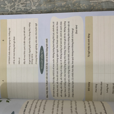 Sách - Chinh phục tiếng việt 4 ( dùng chung cho 3 bộ sgk hiện hành ) (dương hằng)