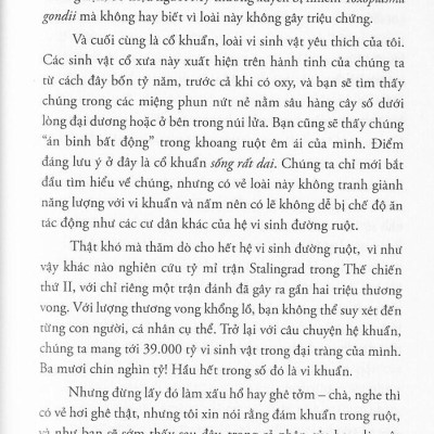 Chất Xơ Diệu Kỳ