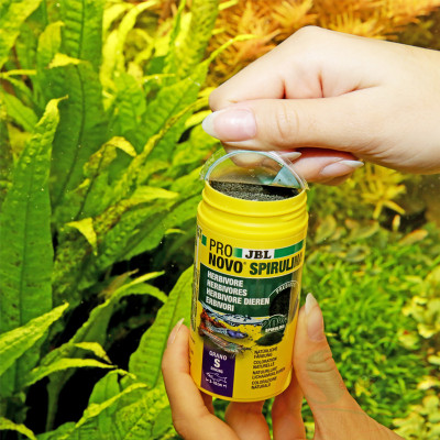 Thức ăn cá JBL ProNovo Spirulina Grano tảo xoắn dinh dưỡng tăng màu cá tép cảnh