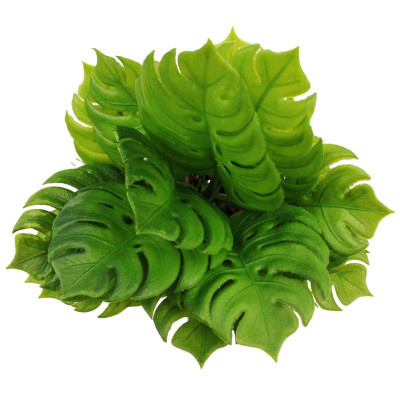 Chậu Cây Nhựa Trang Trí - WanLongDa 769-7