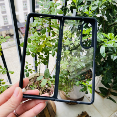 Ốp lưng cho Galaxy Z Fold 5 Likgus trong viền màu- hàng chính hãng