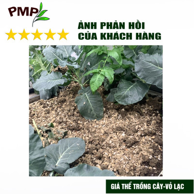 Giá thể vỏ lạc PMP phơi khô dập nhỏ để trộn đất, phủ bề mặt trồng cây 1Kg
