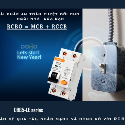 Cầu Dao Chống Giật 2 Pha Dobo Electric Korea (25A - 30mA) - Trắng
