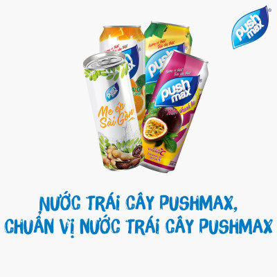 Lốc 6 Lon Nước Trái Cây Trà Bí Đao Pushmax (320ml x 6 Lon)