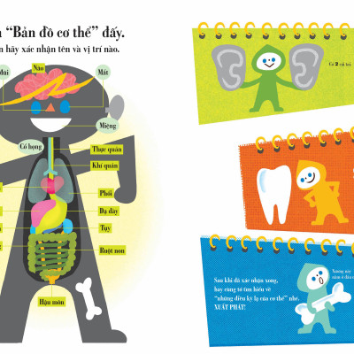 Combo Sách tranh khoa học đầu tiên của bé (bộ 7 cuốn)