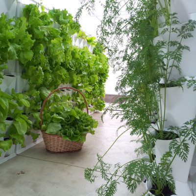 Chậu Treo Trồng Rau Ban Công Đứng Minigarden (Set 10 Bộ) nhập khẩu Châu Âu kèm hệ thống tưới nhỏ giọt bán tự động với năng suất rau cao