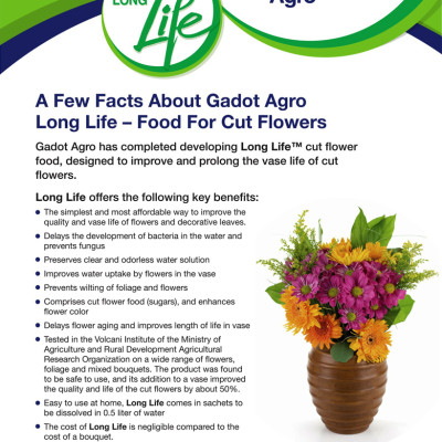 Combo 5 Hộp DINH DƯỠNG HOA CẮT CÀNH (Food for Cut Flowers)(1 hộp 10 gói 5gr). Giúp hoa cắt cành tươi lâu và 14 ngày không thay nước mới. Giải pháp tối ưu theo công nghệ Israel