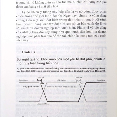 Chuyển Đổi Số (Digital Transformation - Tái Bản)