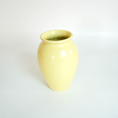 Bình Hoa Tuyết Mai