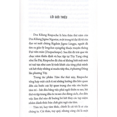 Tâm Thư Thái - Dza Kilung Rinpoche - Vanlangbooks