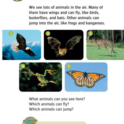 Oxford Read and Discover 3 Animals In the Air