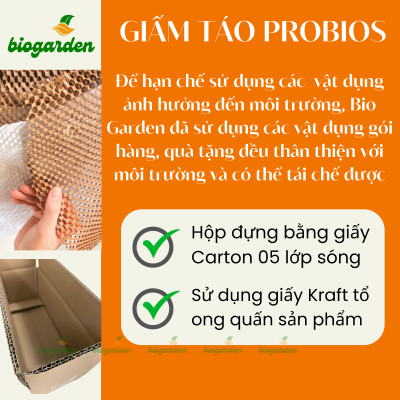 Bột Maca đen hữu cơ 100gr - Dragon Superfoods