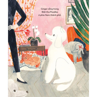 Mái Ấm Của Cún Cưng