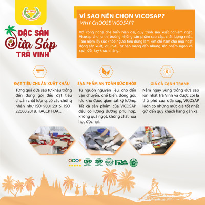 Kẹo dừa sáp VICOSAP vị cacao kẹo mềm dẻo ít đường đặc sản Trà Vinh túi 100g