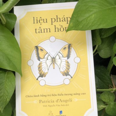 Liệu Pháp Tâm Hồn - Chữa Lành Bằng Trị Liệu Biểu Tượng Nâng Cao