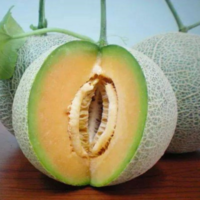 [Chỉ Giao HCM] Dưa Lưới Nhật Ngon Loại 1 - trái 1,5kg