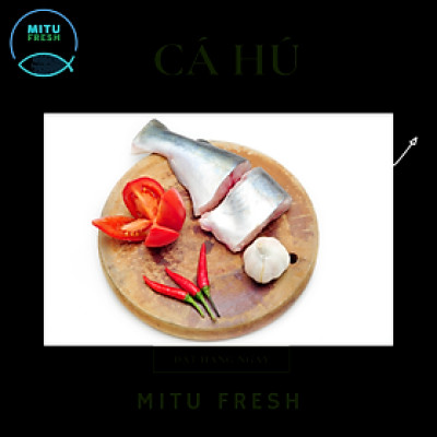 Cá Hú làm sạch không đầu ( 0.7-1kg/con)