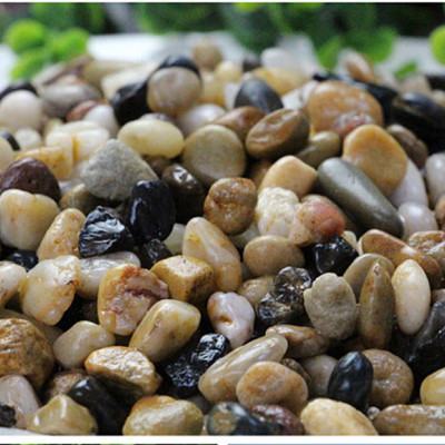 5KG Sỏi Suối 3 Màu (Size Nhỡ) | Trang Trí Bể Cá, Tiểu Cảnh, Non Bộ Đẹp, May Mắn!