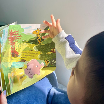 Sách - Voi con tìm mẹ (Bìa cứng) - Nhã Nam Official