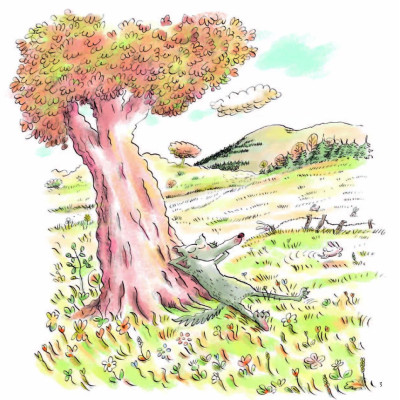 Sói Xám Siêu Xui Xẻo