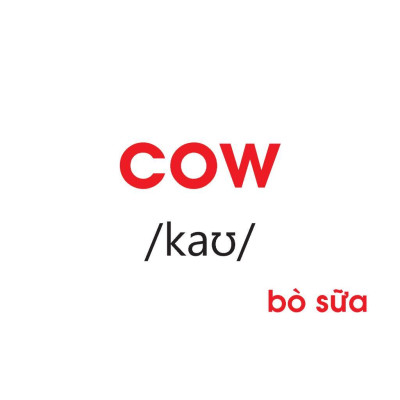 Sách - Flashcards - Dạy Trẻ Về Thế Giới Xung Quanh - Minh Thắng