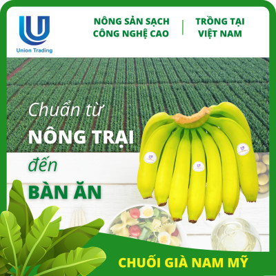 Chuối Tươi Union Trading - Thùng 13Kg - Thơm Dẻo, Giàu Dinh Dưỡng - Trồng Công Nghệ Cao Tại Việt Nam