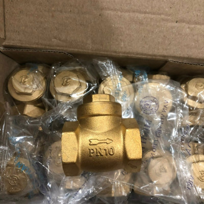 Van 1 chiều lá lật DN20 | ren 27 (3/4’’) | PN10