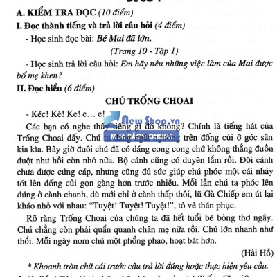 Đề Kiểm Tra Môn Tiếng Việt Lớp 2 (Bám Sát SGK Chân Trời Sáng Tạo) - HA