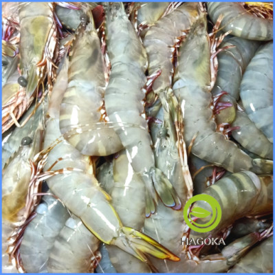 [Chỉ giao HCM] 500gr TÔM THẺ BIỂN (loại 15 con trở lên)