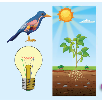 Tiếng Anh 5 i-Learn Smart Start - Flashcards