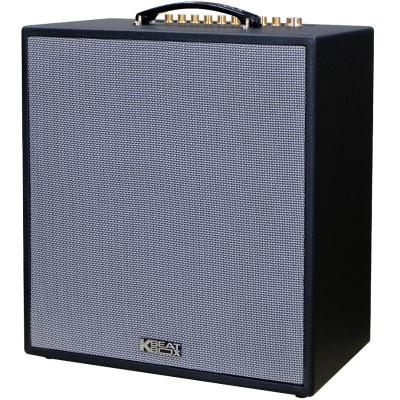 Dàn âm thanh di động xách tay ACNOS CS300