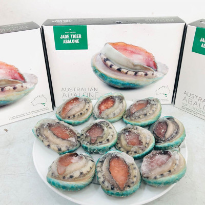 Bào ngư Úc viền xanh ( size :8-10 con)- 1kg