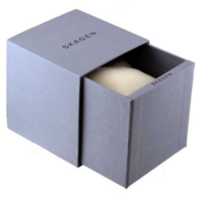 Đồng hồ nam SKAGEN BALDER SKW6074