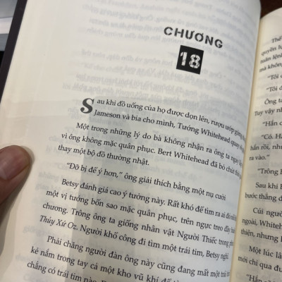 TÌNH THẾ HIỂM NGHÈO – Hillary Rodham Clinton và  Louise Penny – Nguyễn Quang Huy dịch – Bách Việt Books – NXB Dân Trí (bìa mềm)