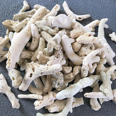 San hô vụn lọc nước bể cá 1kg