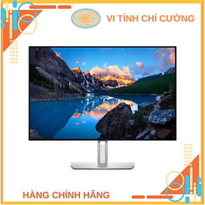 Màn Hình Dell UltraSharp U2421E (24 INCH | WUXGA | IPS | 60Hz | USB-C | RJ45) - Hàng Chính Hãng