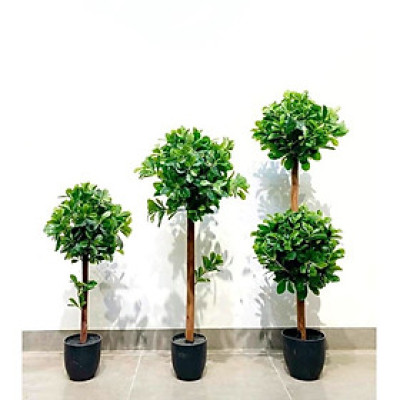 Cây hạnh phúc giả - Size từ 90cm đến 140cm - Kèm chậu phủ rêu - Cây giả, hoa lụa Decor trang trí nhà cửa