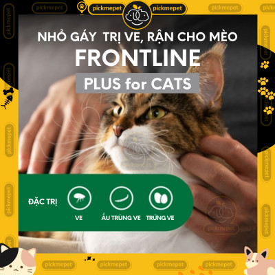 Nhỏ Ve Rận, Bọ Chét Frontline Plus Cho Mèo Trên 2 tháng