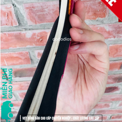 1 Chiếc Vợt Bóng Bàn Cao Cấp Thi Đấu Tiêu Chuẩn Cao - Chính Hãng dododios