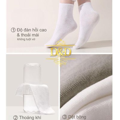 Tất nén, vớ nén du lịch dùng 1 lần tiện lợi