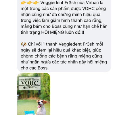 1 thùng (10 gói) Veggiedent sạch răng, thơm miệng, giảm cao răng cho chó (Virbac)