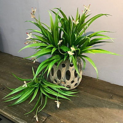 Cụm lá lan giả trang trí- Cụm lá điểm - Cỏ điểm trang trí cao cấp